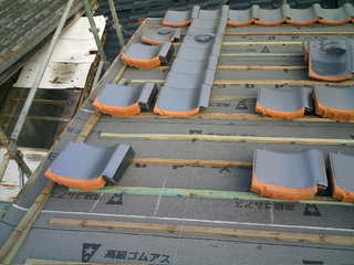 IMAG0018.JPG
